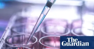 UK stem cell transplant system may put lives at risk, MPs report