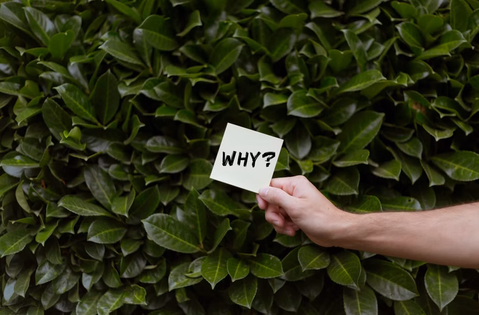 Why America is less of a 24/7 society, according to one analysis