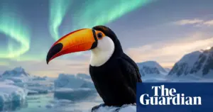 AI-edited bird photos raise concerns for citizen science data