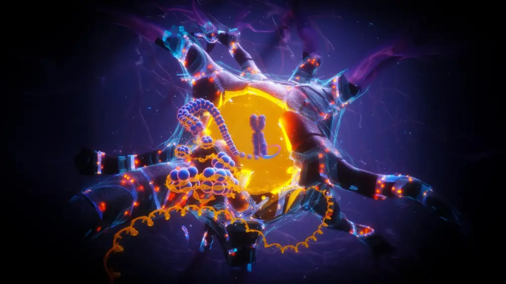 APOE2 gene may protect brain cells from DNA damage and aging, study finds