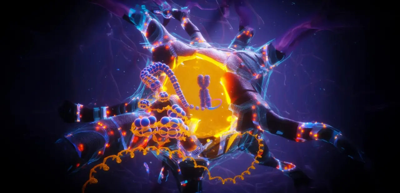 APOE2 gene may protect brain cells from DNA damage and aging, study finds