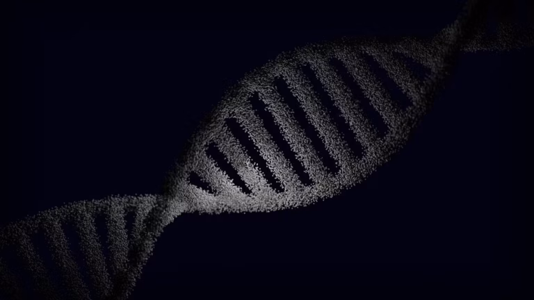 Ancient DNA reveals Upton Lovell Shaman was female, not male