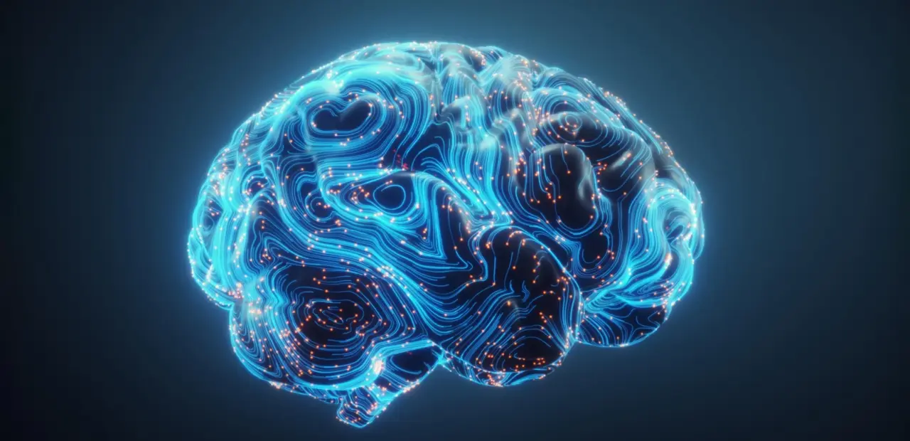 Brain rewires itself for true multitasking, Georgetown study finds