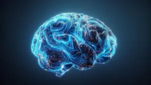 Brain rewires itself for true multitasking, Georgetown study finds