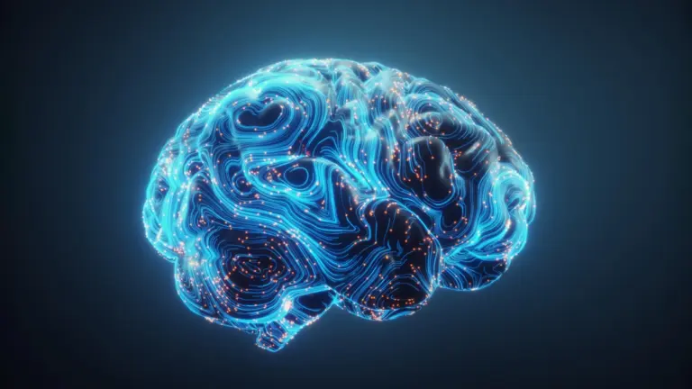 Brain rewires itself for true multitasking, Georgetown study finds