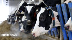 Canada's dairy supply management system targeted by US tariff threat