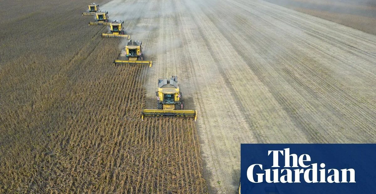 Economists warn 'super' El Niño could cause global food price shock into 2028