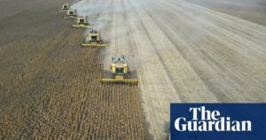 Economists warn 'super' El Niño could cause global food price shock into 2028