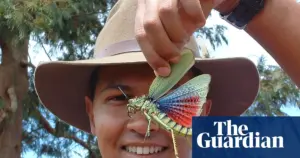 Entomologist Dino Martins champions parasites in new book on nature’s overlooked creatures