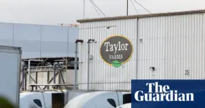 FDA retracts cyclospora finding in Taylor Farms lettuce as false positive