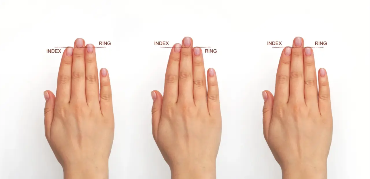 Finger length study links prenatal estrogen to brain evolution