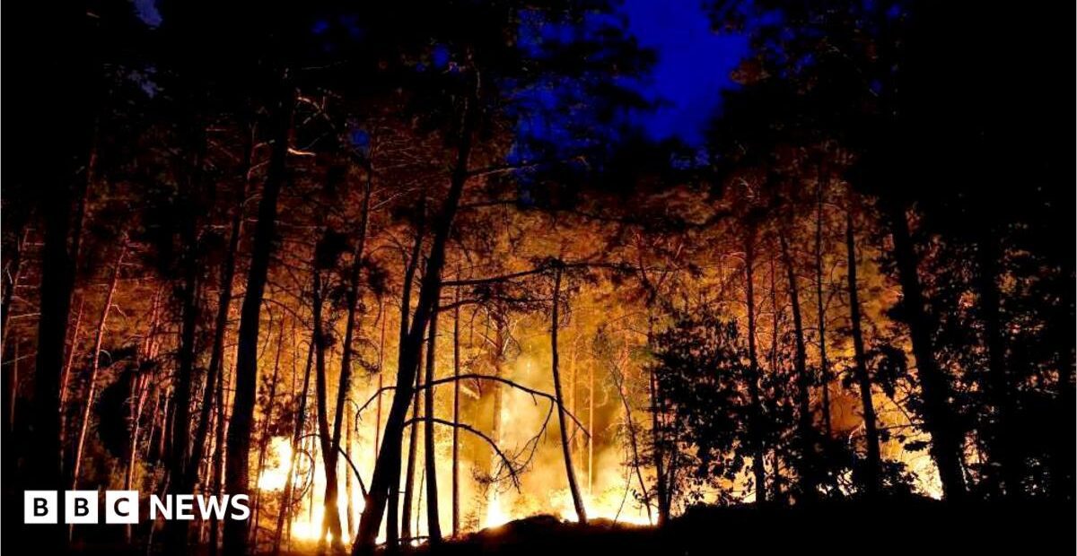 Firefighting planes deployed to large wildfire near Paris
