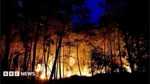 Firefighting planes deployed to large wildfire near Paris