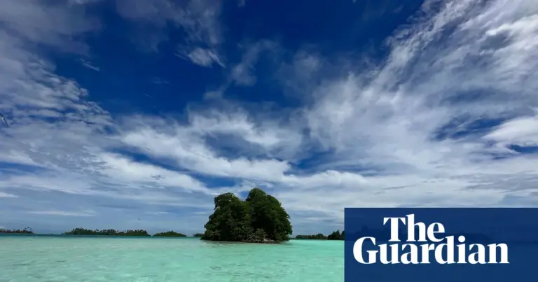 Fungi’s role in planetary health explored in new podcast