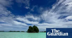Fungi's role in planetary health explored in new podcast