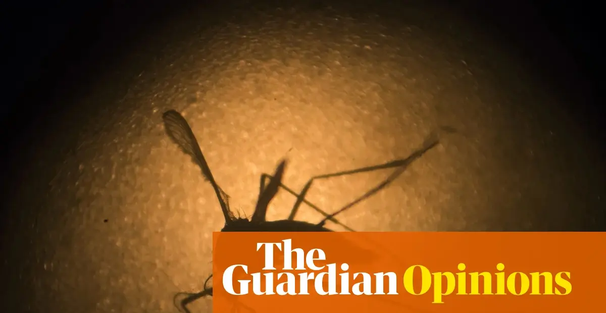 Google seeks US approval for 32 million sterile mosquito release; Australian trial offers lessons