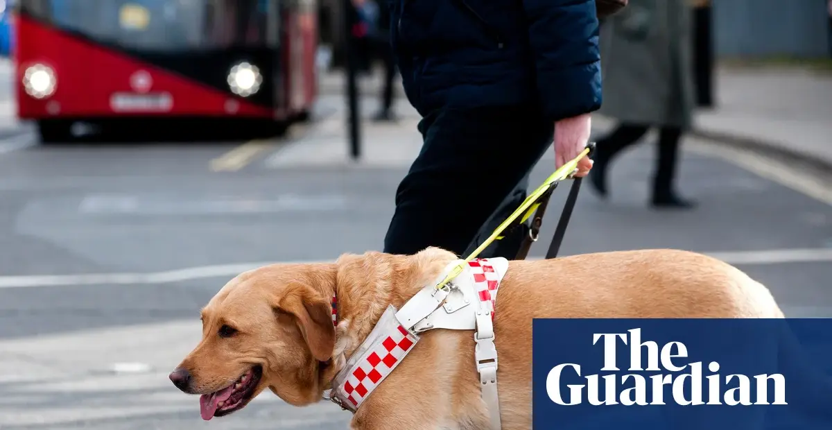 Guide dog owners report frequent access refusals across UK