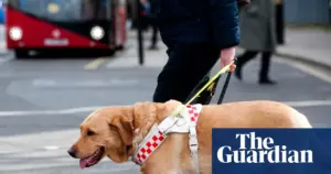 Guide dog owners report frequent access refusals across UK