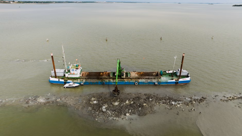 Land reclamation history spans Boston to Tokyo, report finds
