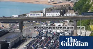 MPs warn of Port of Dover chaos under EU entry system