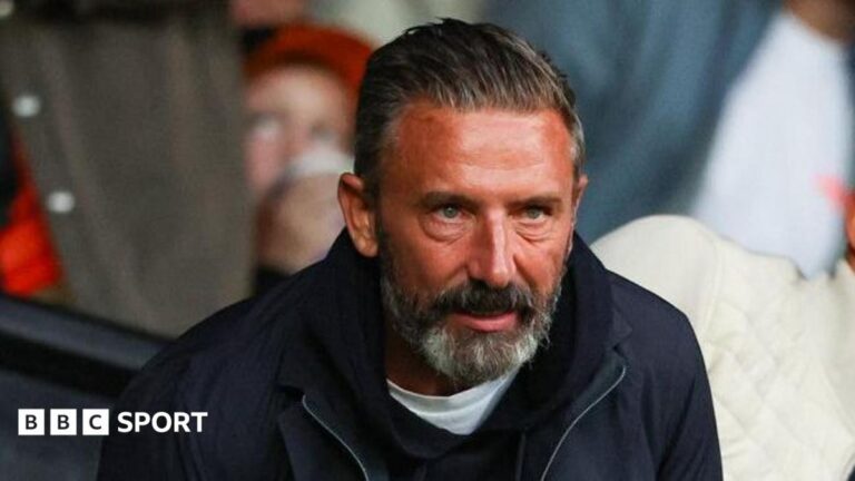 McInnes receives four-game ban for 'disgusting' penalty comment