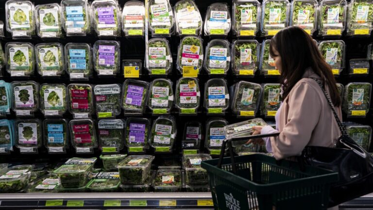 Michigan Cyclospora Outbreak: Lettuce Eyed as Possible Source