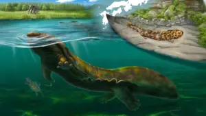 New giant salamander species identified from 3.5-million-year-old fossils in Japan