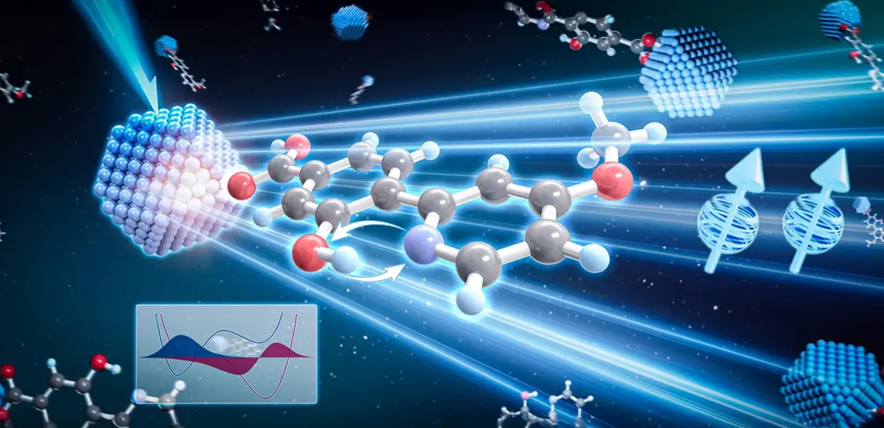 Quantum proton shuttle boosts triplet energy transfer, study finds