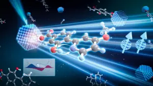 Quantum proton shuttle boosts triplet energy transfer, study finds