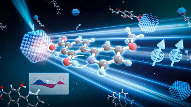 Quantum proton shuttle boosts triplet energy transfer, study finds