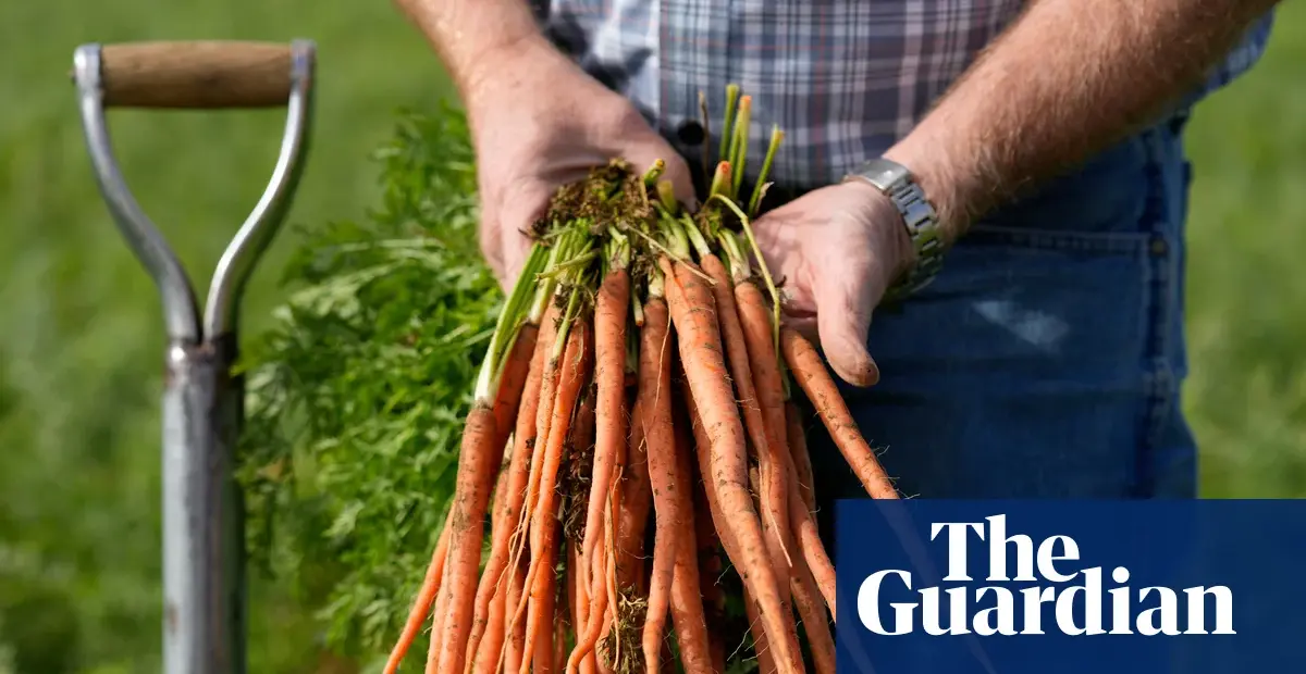 Regenerative agriculture studied as potential fix for declining crop nutrients