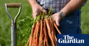 Regenerative agriculture studied as potential fix for declining crop nutrients