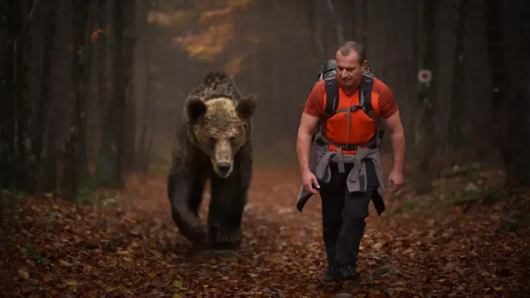 Study: Wildlife fear varies based on human threat level