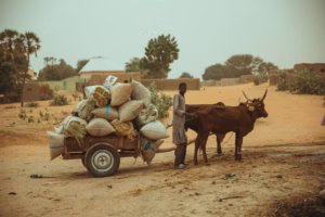 Sub-Saharan Africa agricultural productivity shows stagnation