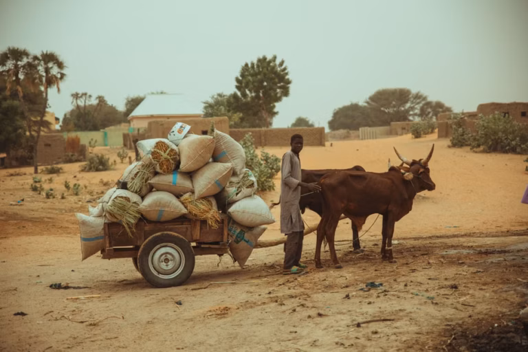 Sub-Saharan Africa agricultural productivity shows stagnation