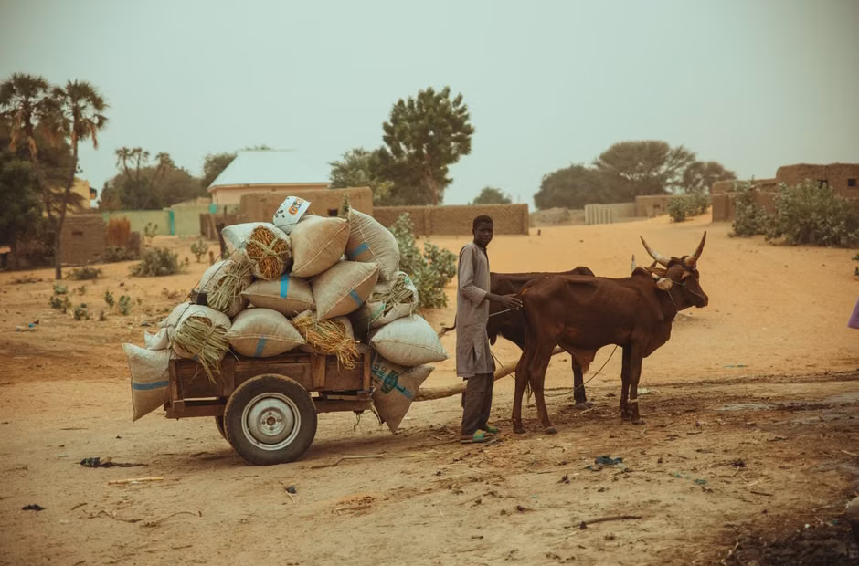 Sub-Saharan Africa agricultural productivity shows stagnation