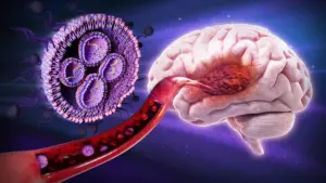 Sugar-coated nanoparticles boost brain cancer survival in mice