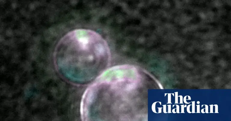 Synthetic Cells Built From Scratch Grow and Divide in Lab
