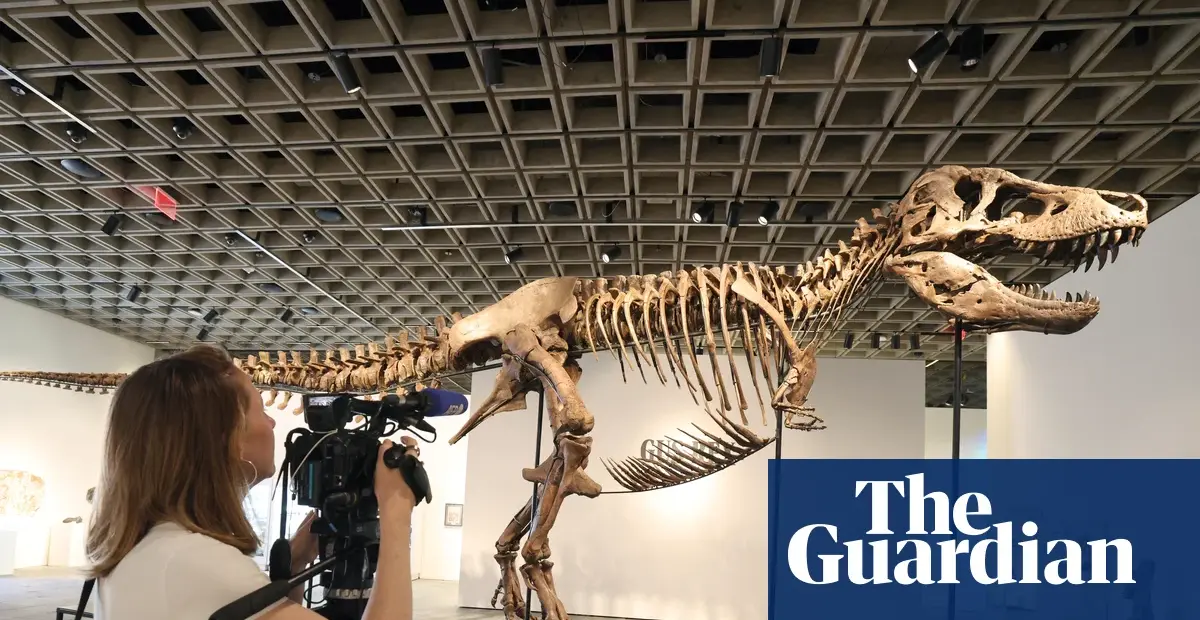 T rex skeleton auction raises concerns among scientists