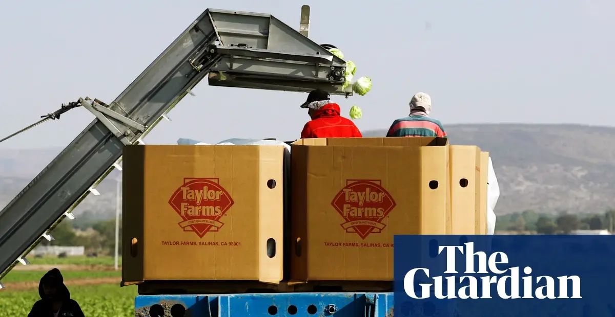 Taylor Farms recalls shredded iceberg lettuce in 27 states over cyclospora risk