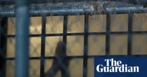 Tuberculosis outbreak at Colorado ICE jail sickens at least 12 detainees