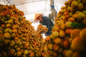 US agricultural exports barely exceed Brazil's, report says