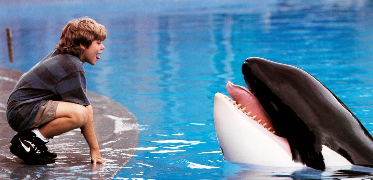 Warner Bros. Developing ‘Free Willy’ Reimagining With Russo Brothers’ AGBO