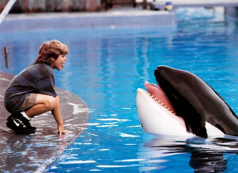 Warner Bros. Developing ‘Free Willy’ Reimagining With Russo Brothers’ AGBO