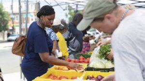 White House eliminates SNAP-Ed nutrition program amid healthy eating push