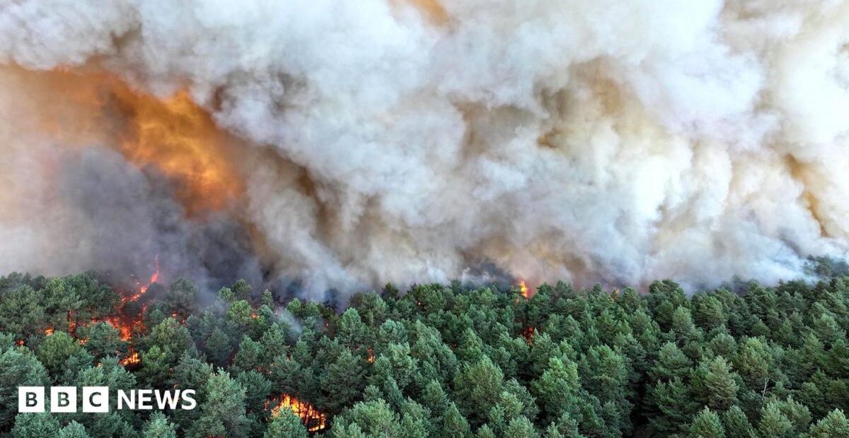 Wildfire south of Paris may have been set deliberately, minister says