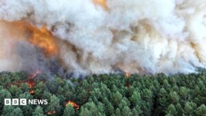 Wildfire south of Paris may have been set deliberately, minister says