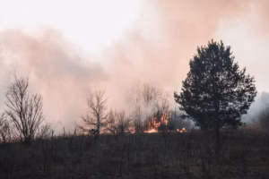 Wildfires across Europe have killed hundreds over the last decade, report says