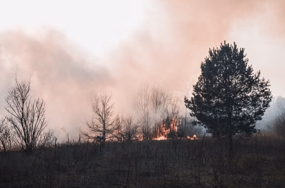 Wildfires across Europe have killed hundreds over the last decade, report says