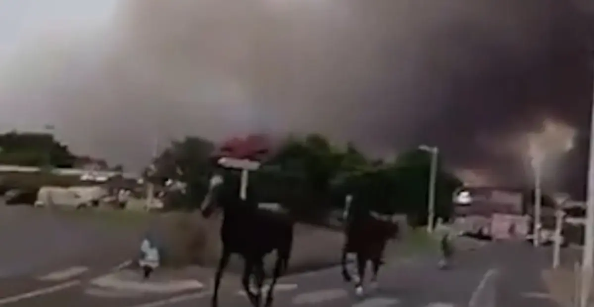 Wildfires in France force over 10,000 to evacuate